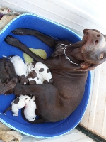 foto de margarita con sus bebes